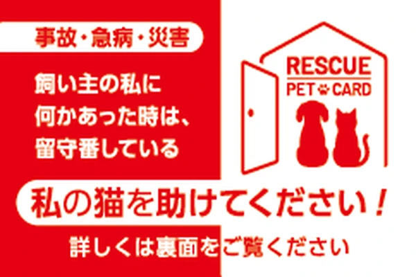 Rescue Pet Card ねこ用カード表面