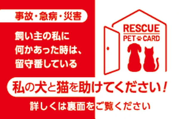 Rescue Pet Cardをスマホにかざすイメージ